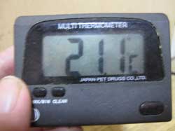 クワガタ保温室内上段の温度