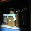 幼虫の飼育容器は暗くて温度変化の少ない場所へ