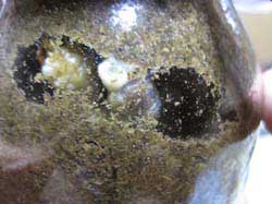 蛹室を作るコクワガタの幼虫